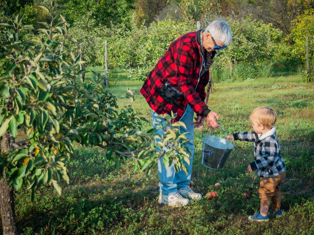 Applejacks Orchard