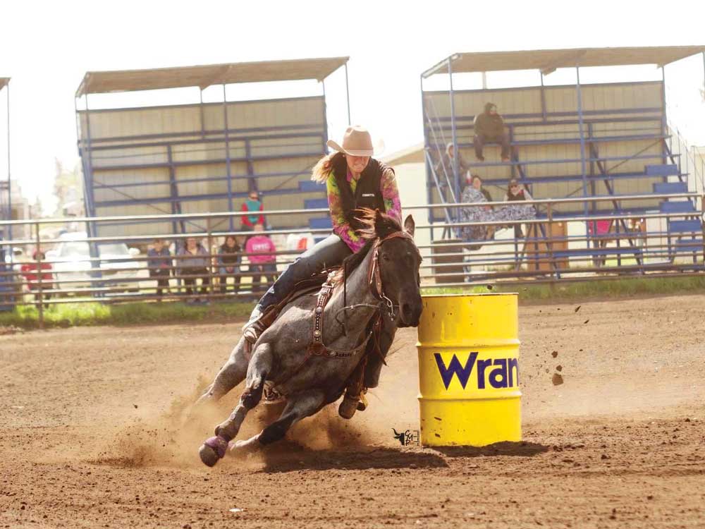 Don't Give A Buck Barrel Race